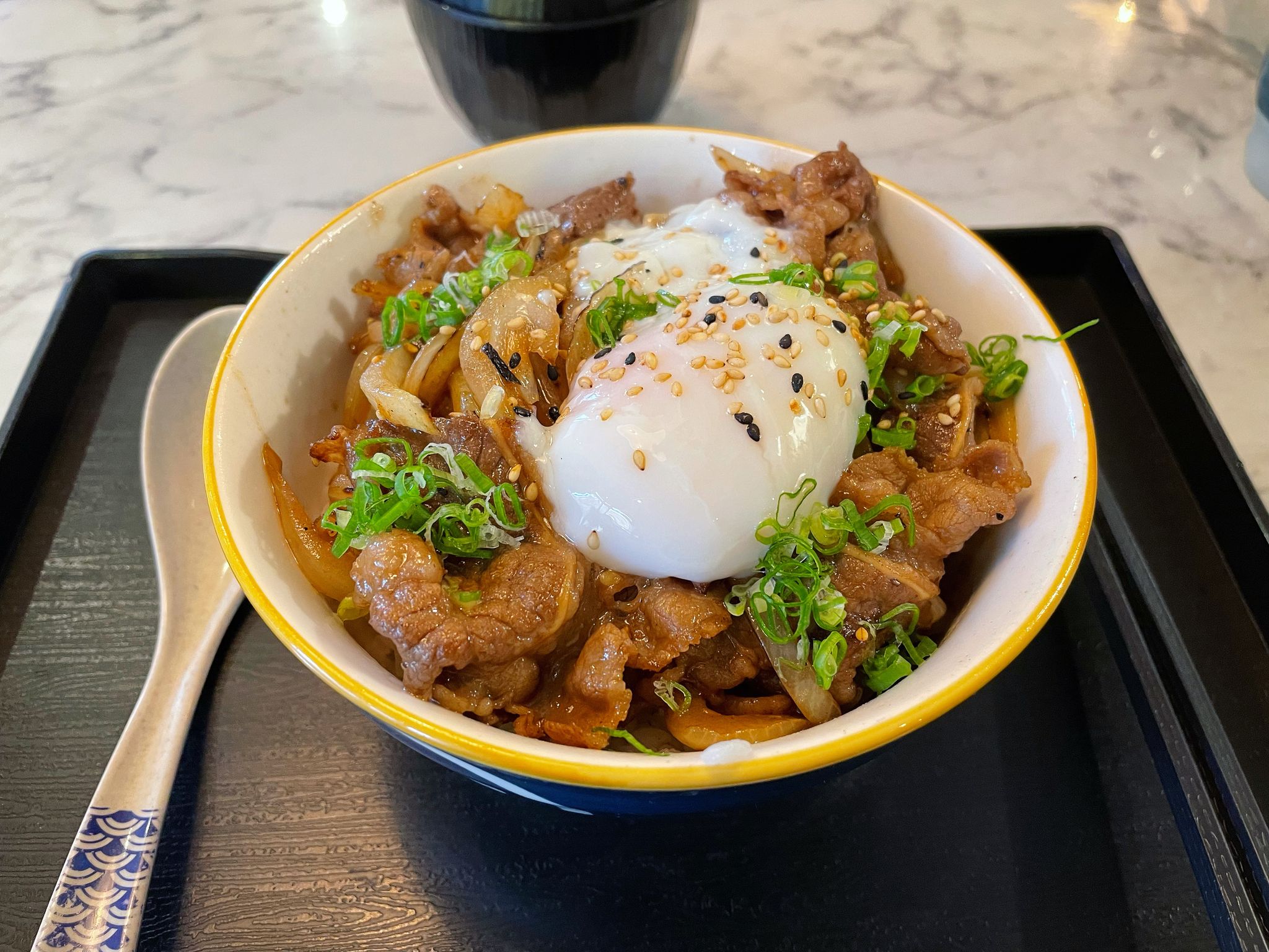 A Bowl of Beef and Onions