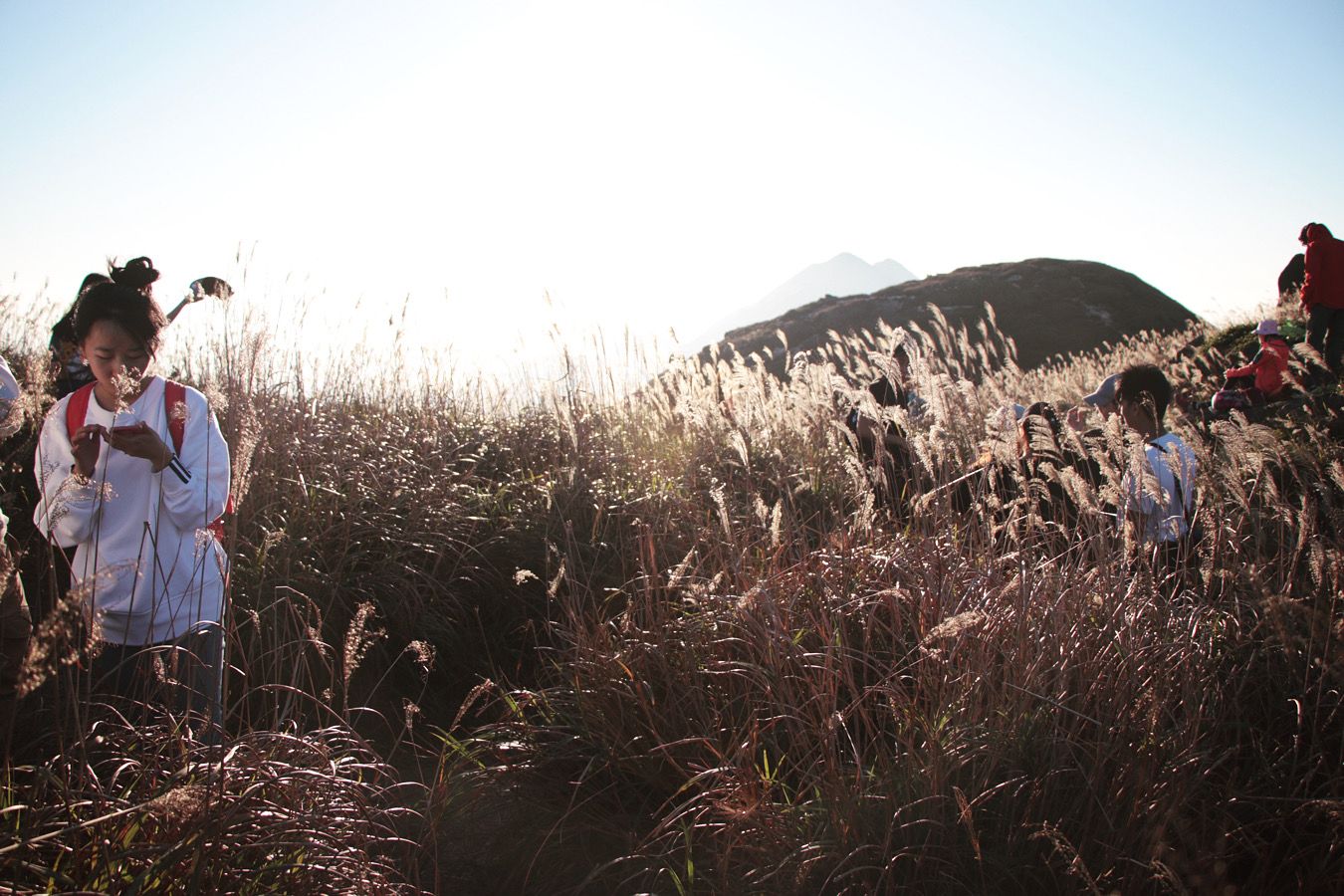 Sunset on the Hill