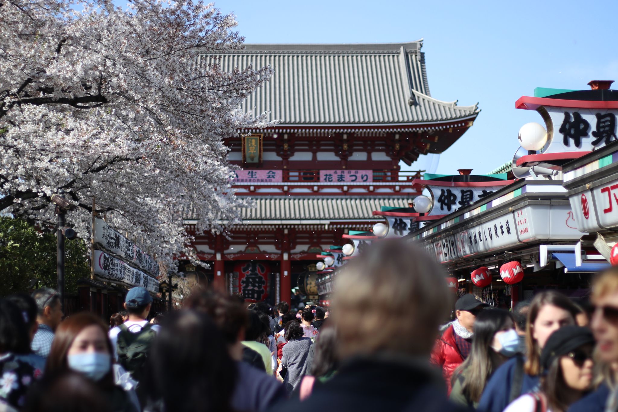 Spring in Tokyo
