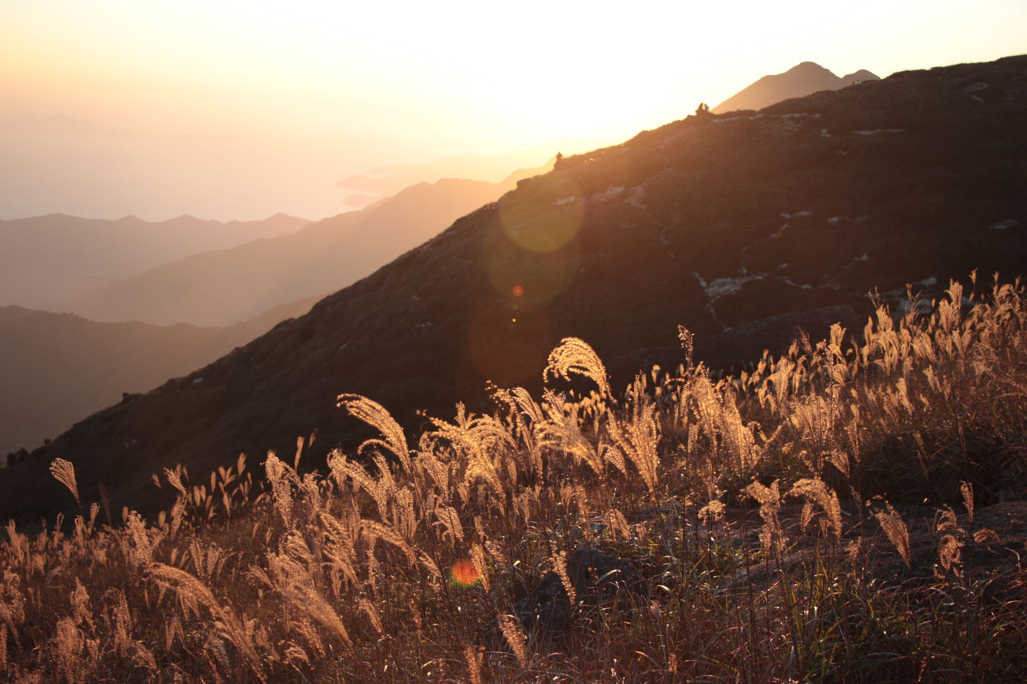 Golden Hour