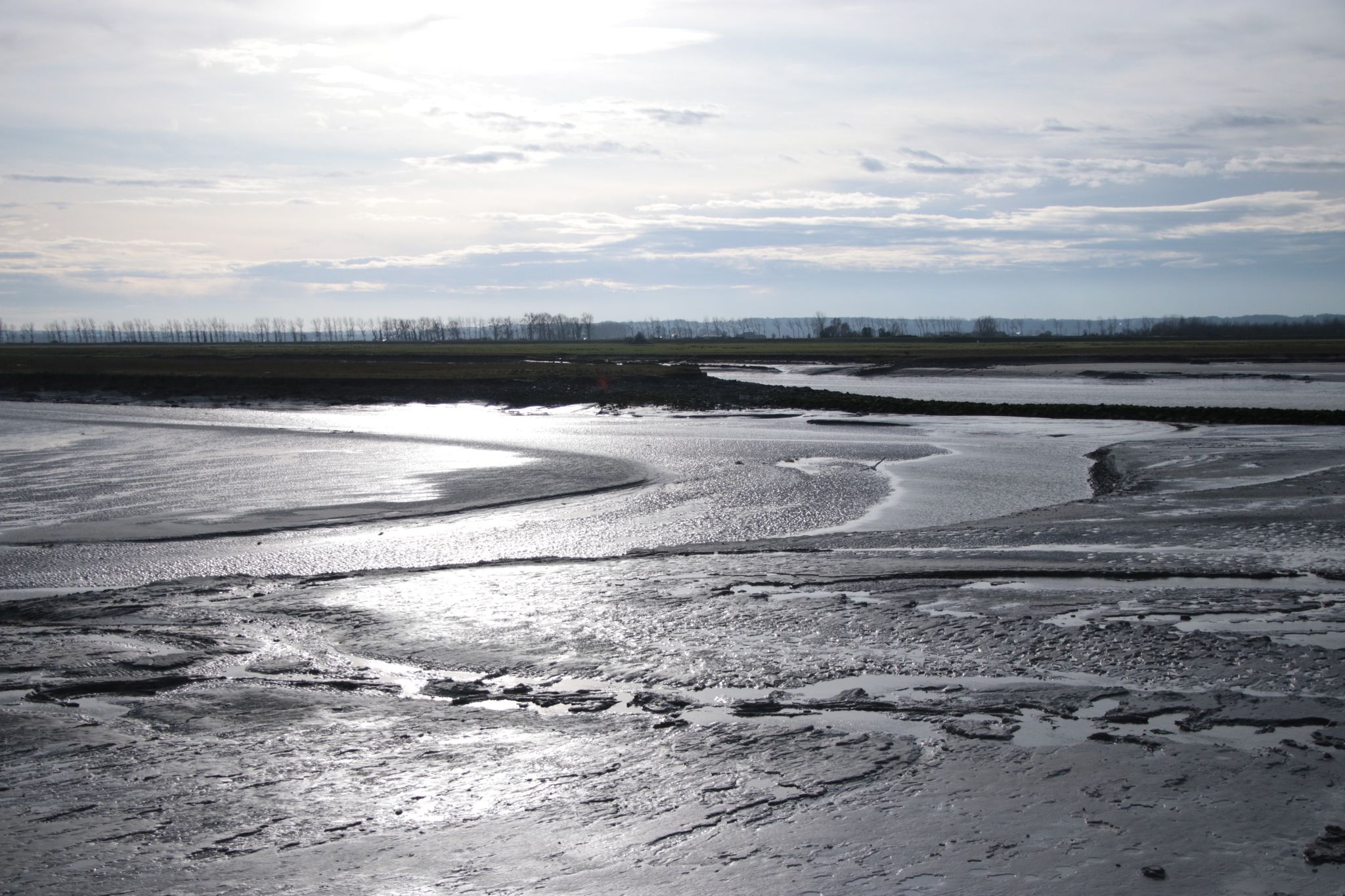 Mudflat