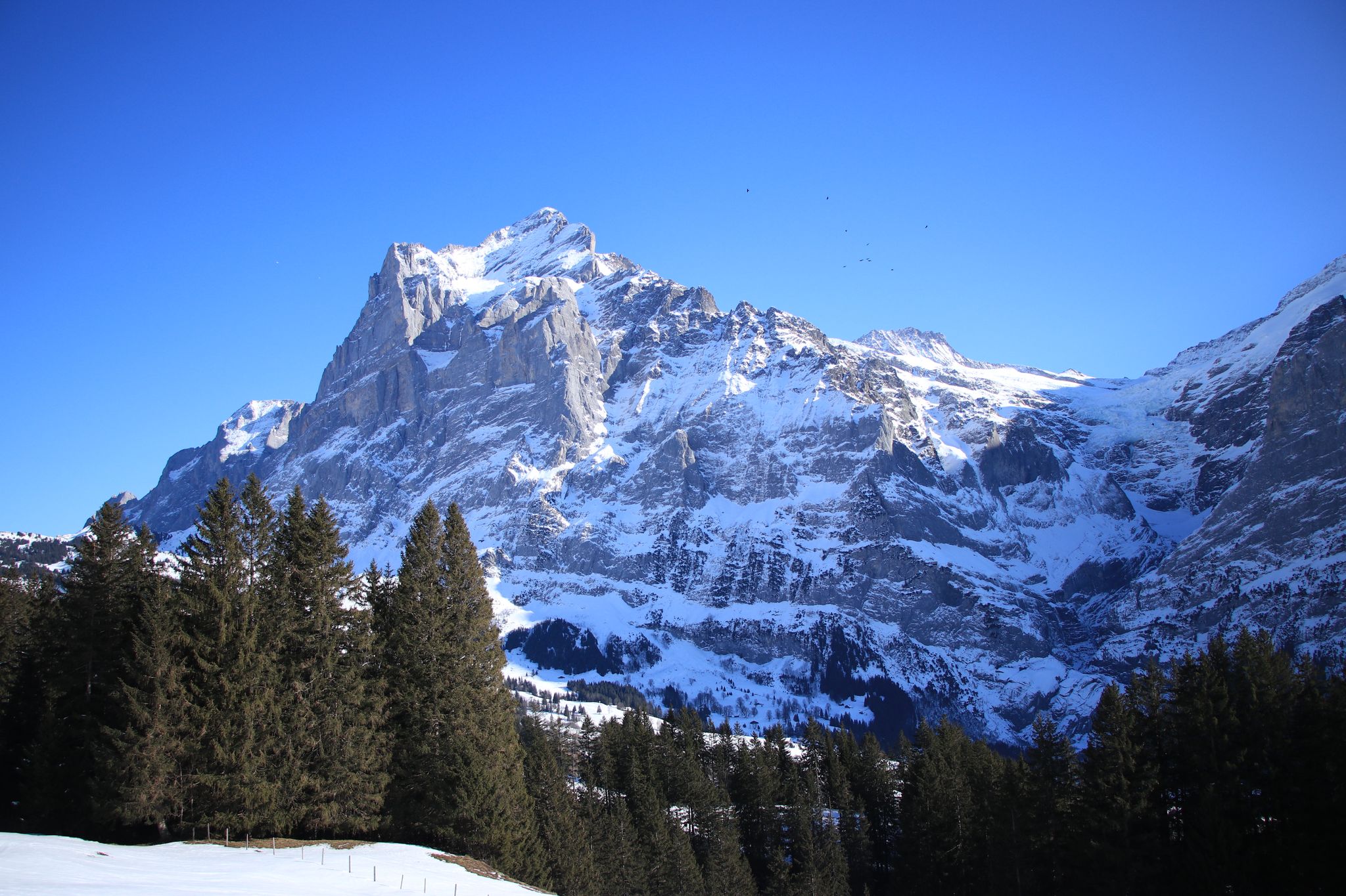 Snowy Mountain