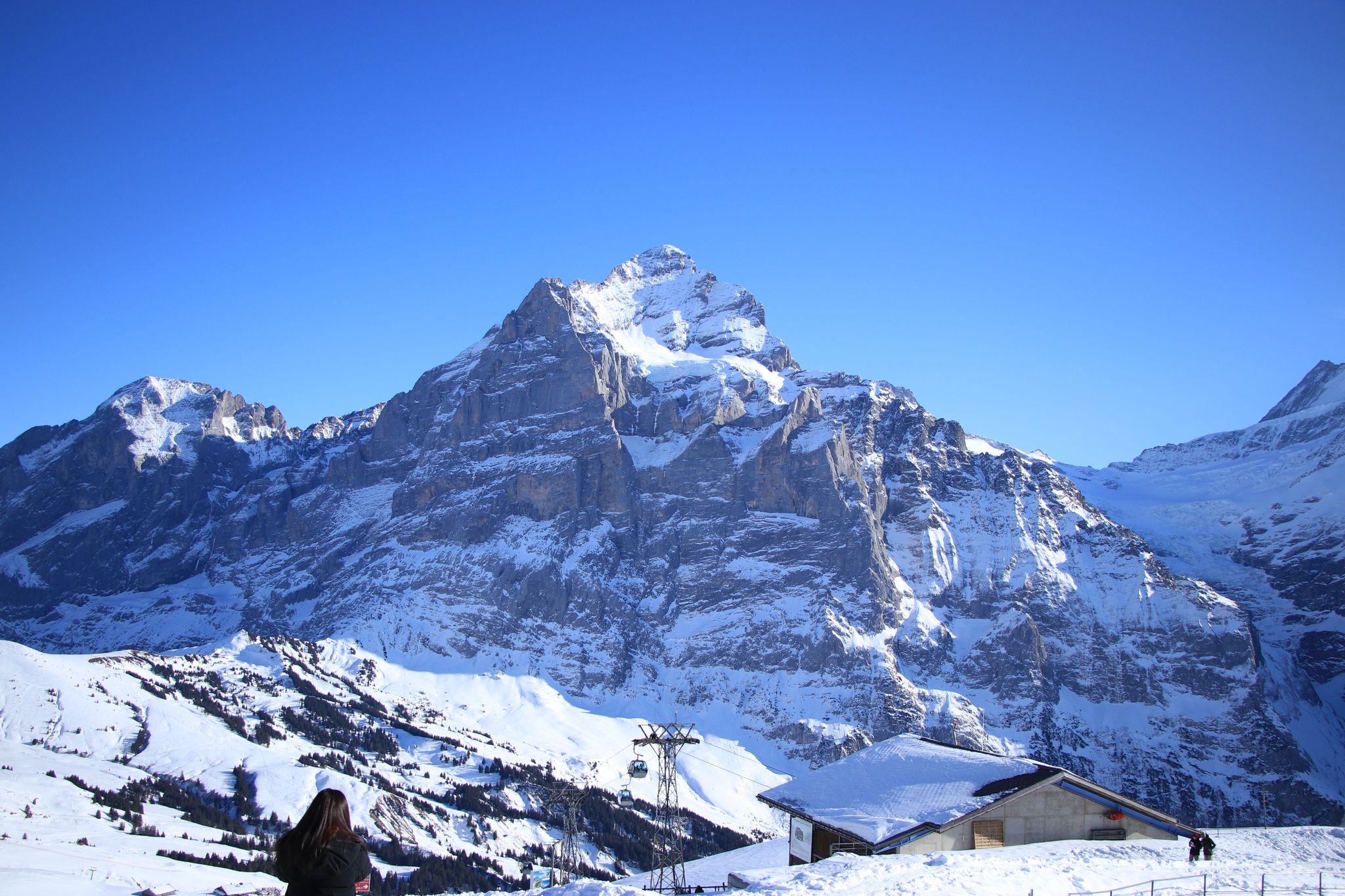 Majestic Snowy Mountain
