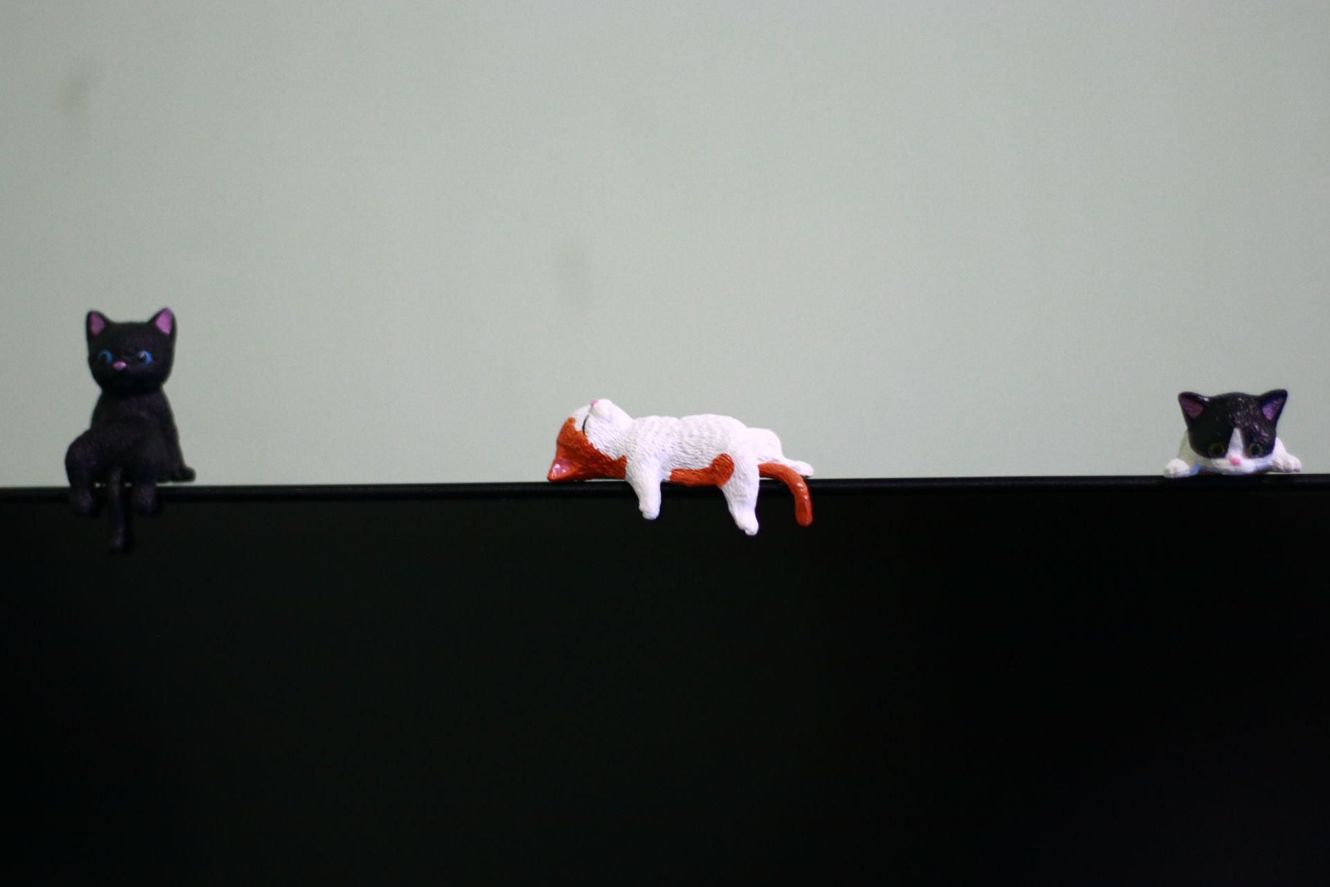 Cat-Emi-Pr-1