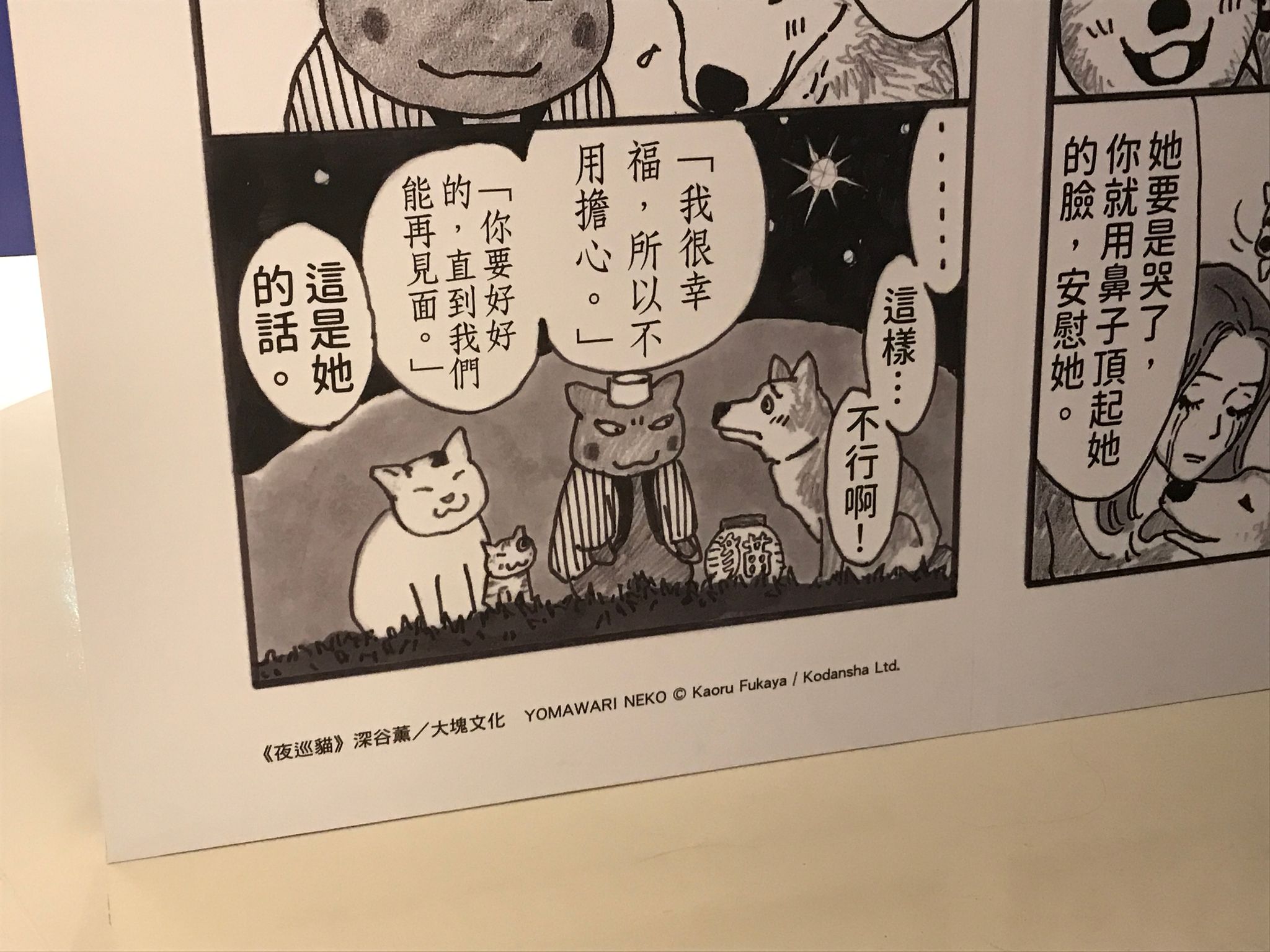 A Story of Cat and Dog
