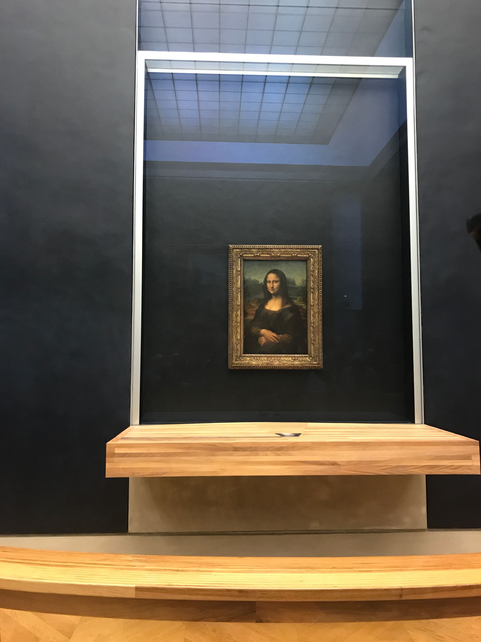 Mysterious Portrait
