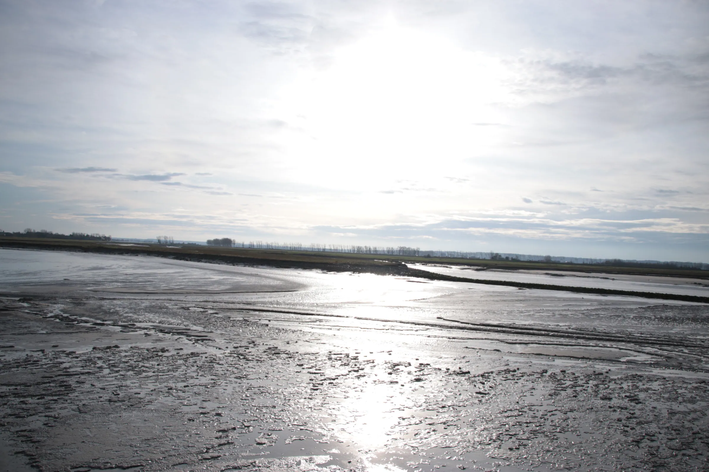 Glare Over the Bay