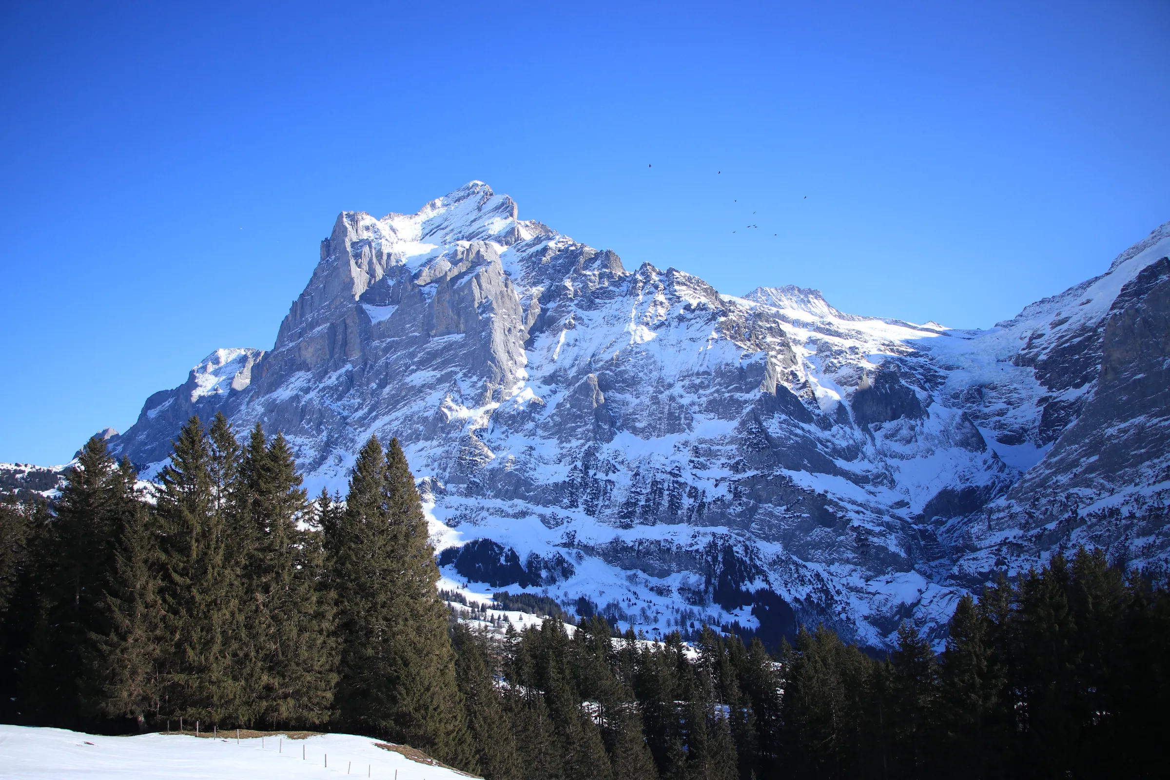 Snowy Mountain