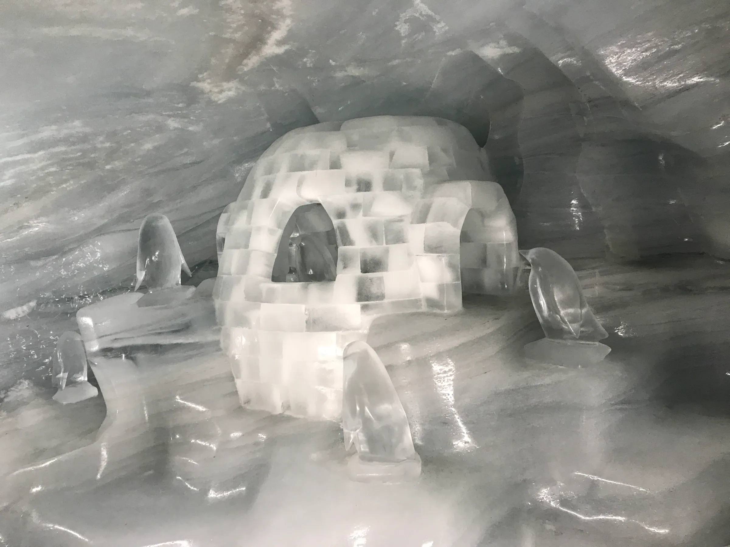 Ice Palace Igloo