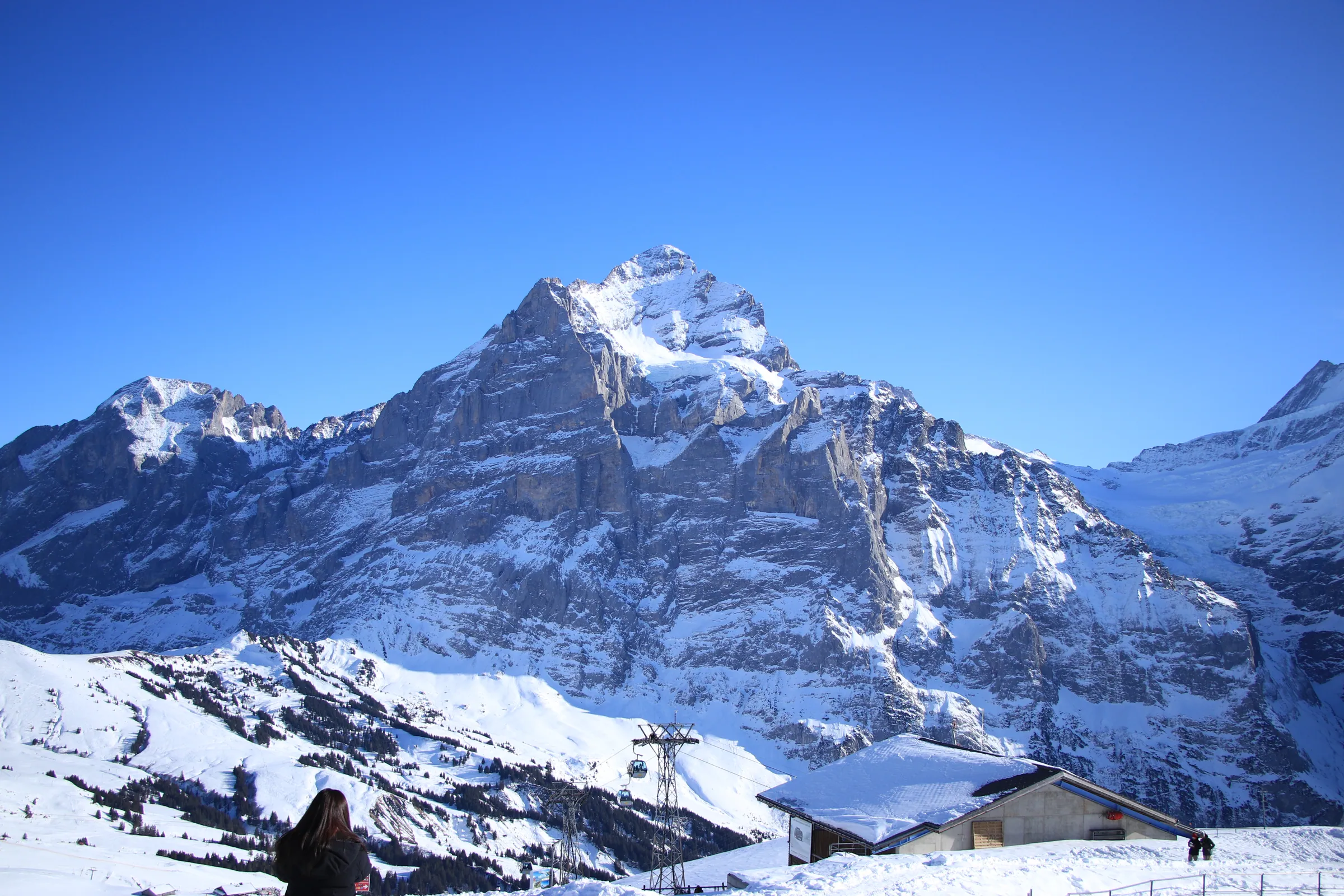 Majestic Snowy Mountain