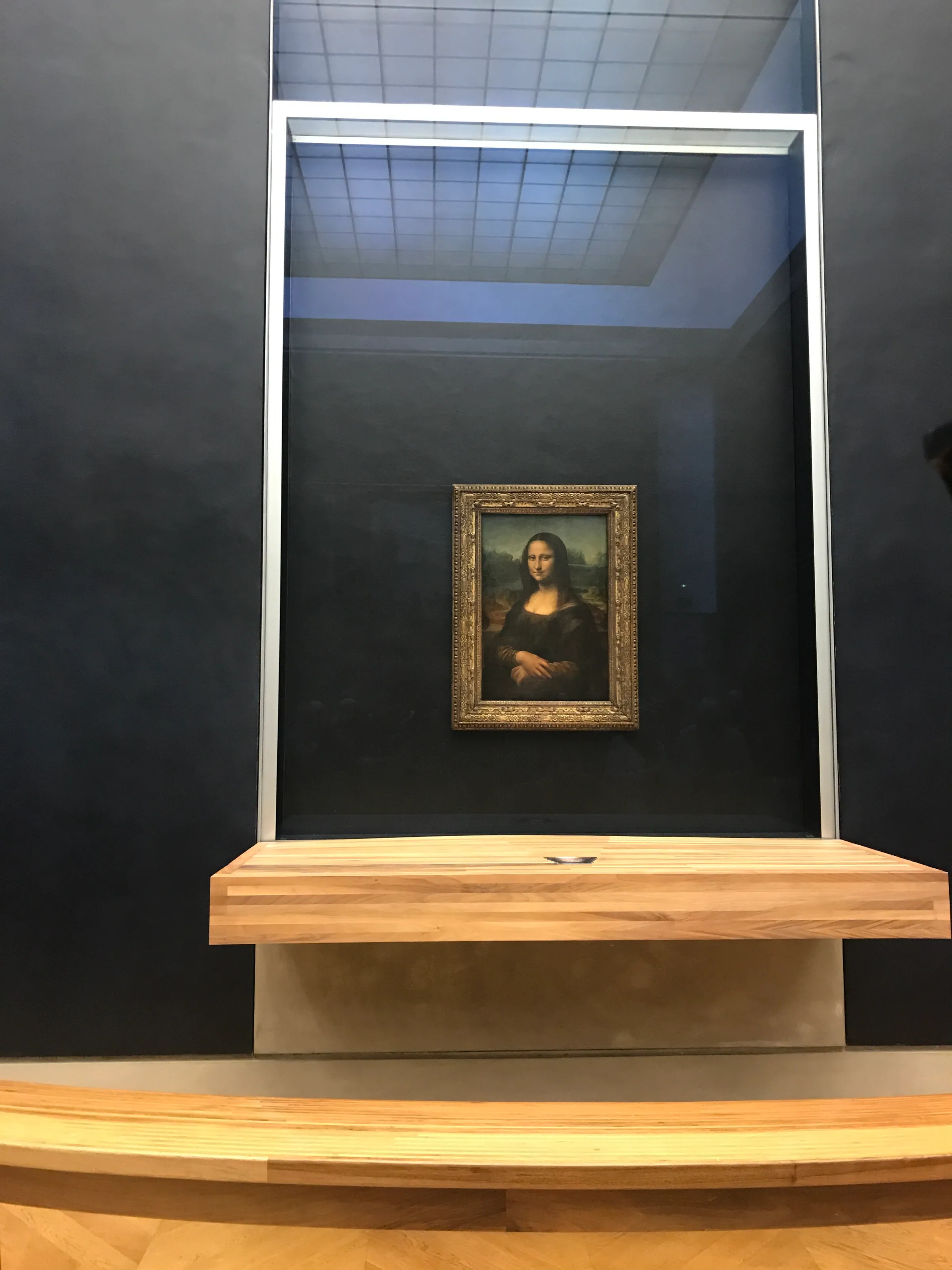Mysterious Portrait